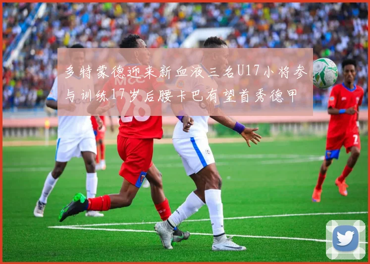 多特蒙德迎来新血液三名U17小将参与训练17岁后腰卡巴有望首秀德甲