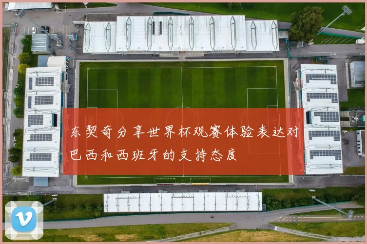 东契奇分享世界杯观赛体验表达对巴西和西班牙的支持态度