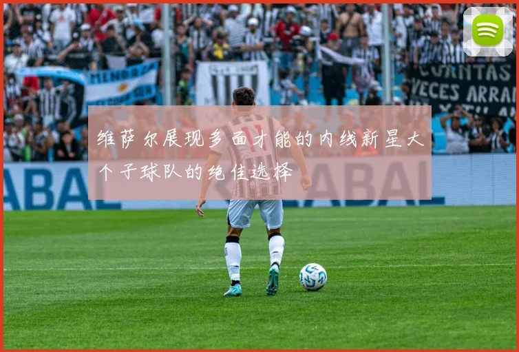 维萨尔展现多面才能的内线新星大个子球队的绝佳选择