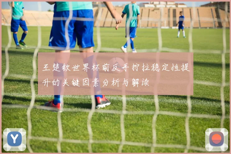 王楚钦世界杯前反手拧拉稳定性提升的关键因素分析与解读
